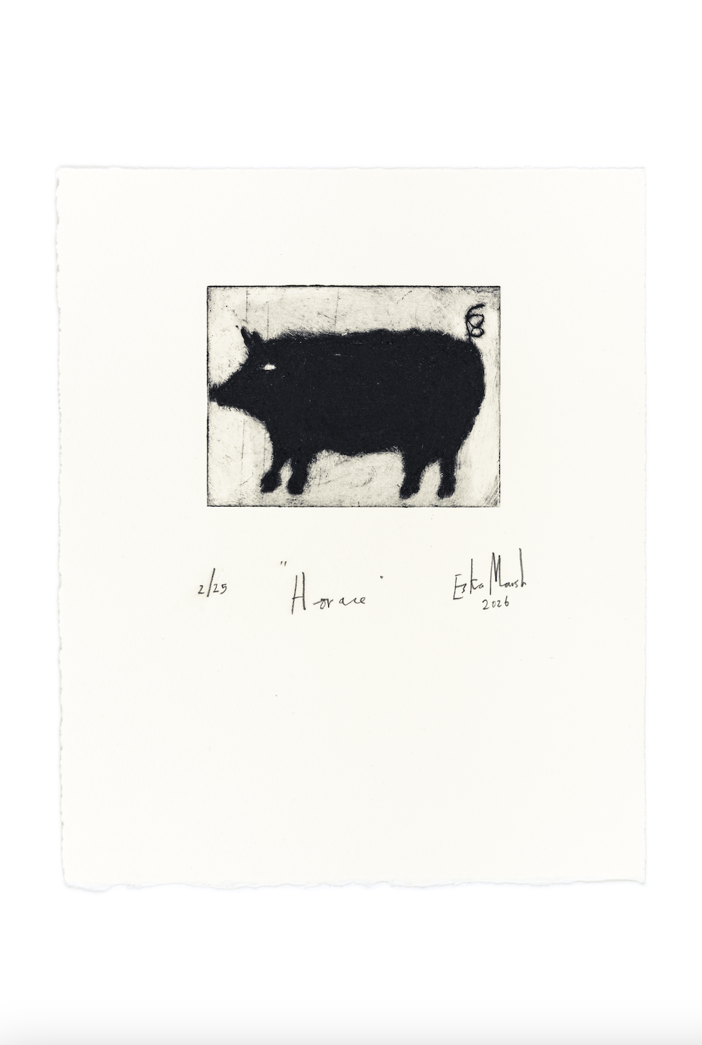 Animal Etching Series by Eska Marsh