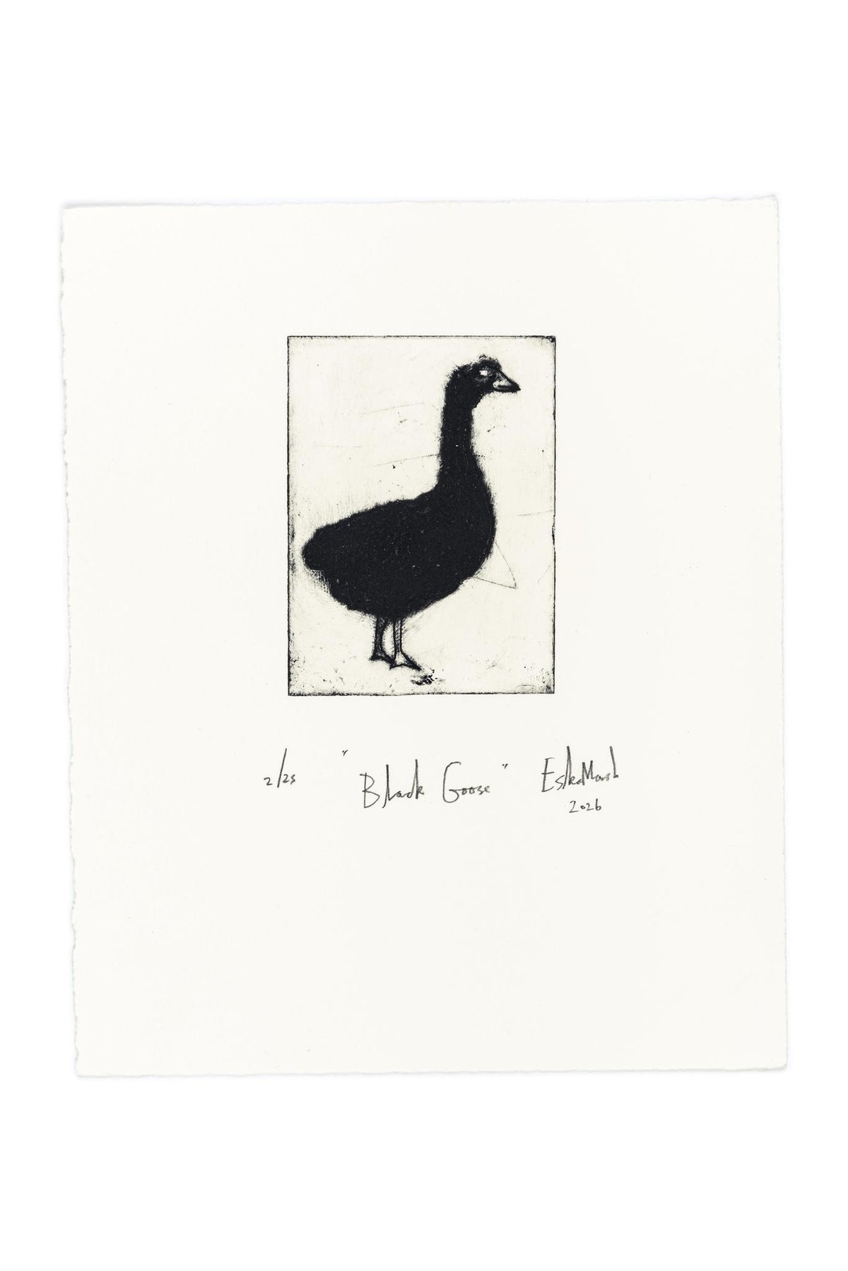 Animal Etching Series by Eska Marsh