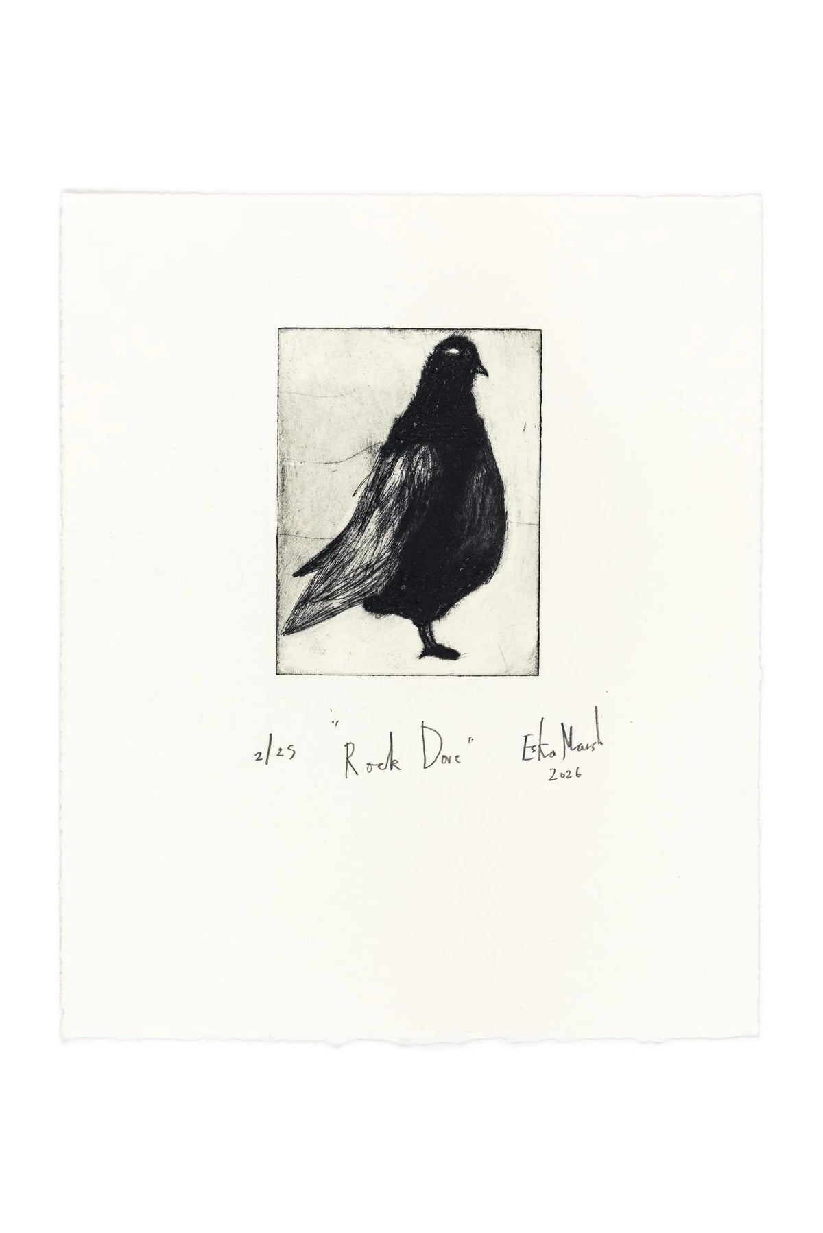 Animal Etching Series by Eska Marsh Unframed