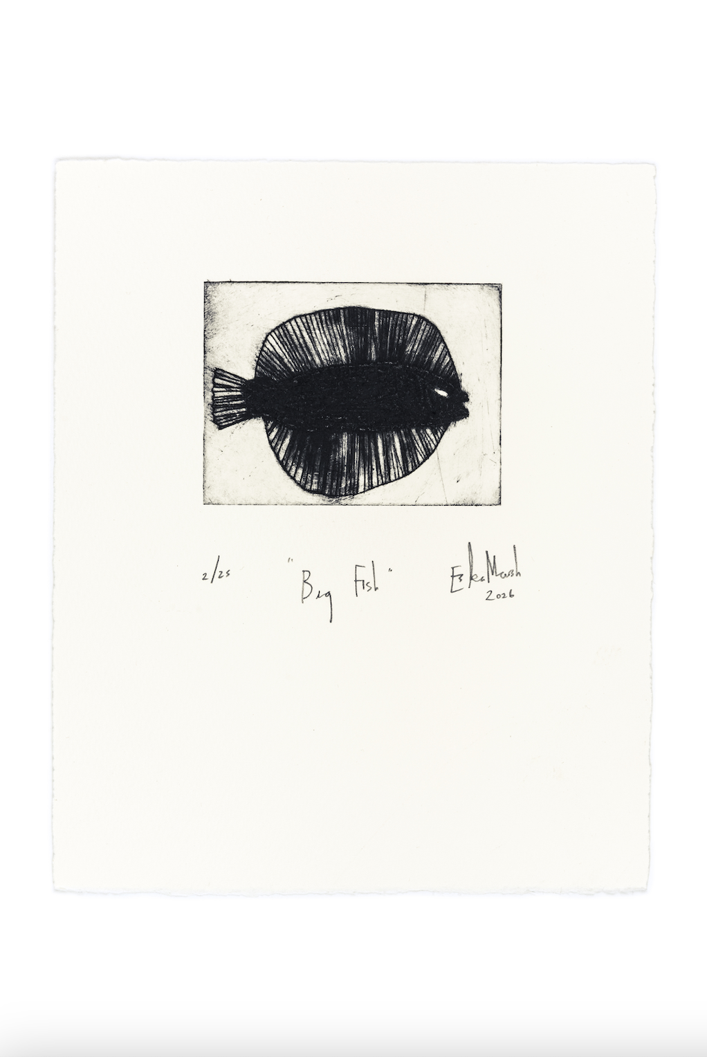 Animal Etching Series by Eska Marsh