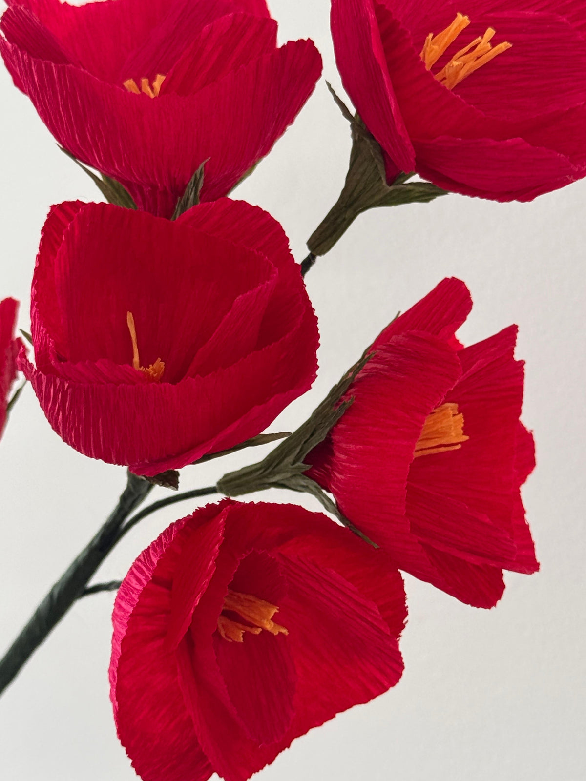 Festive Paper Flower Workshop with Karen Hsu | Saturday 5th December 11am-1pm