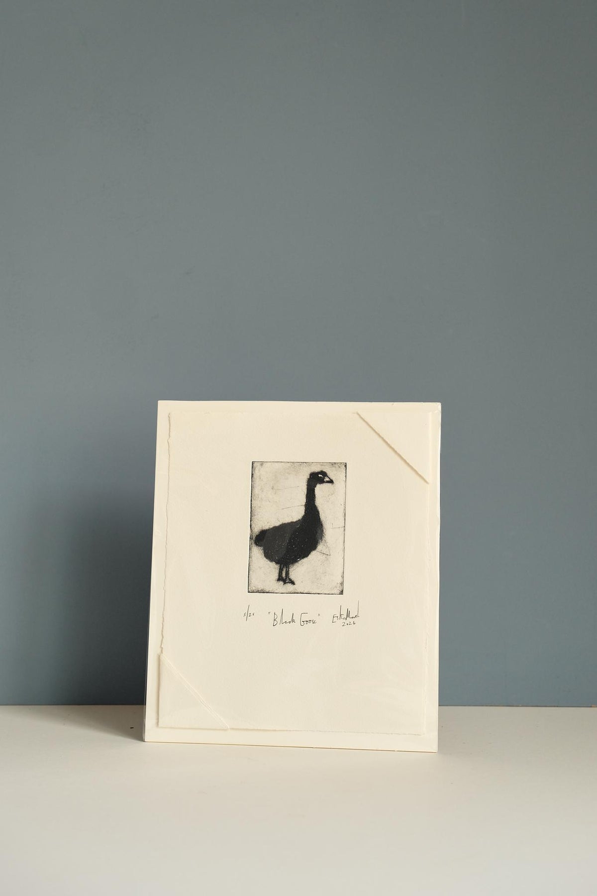 Animal Etching Series by Eska Marsh