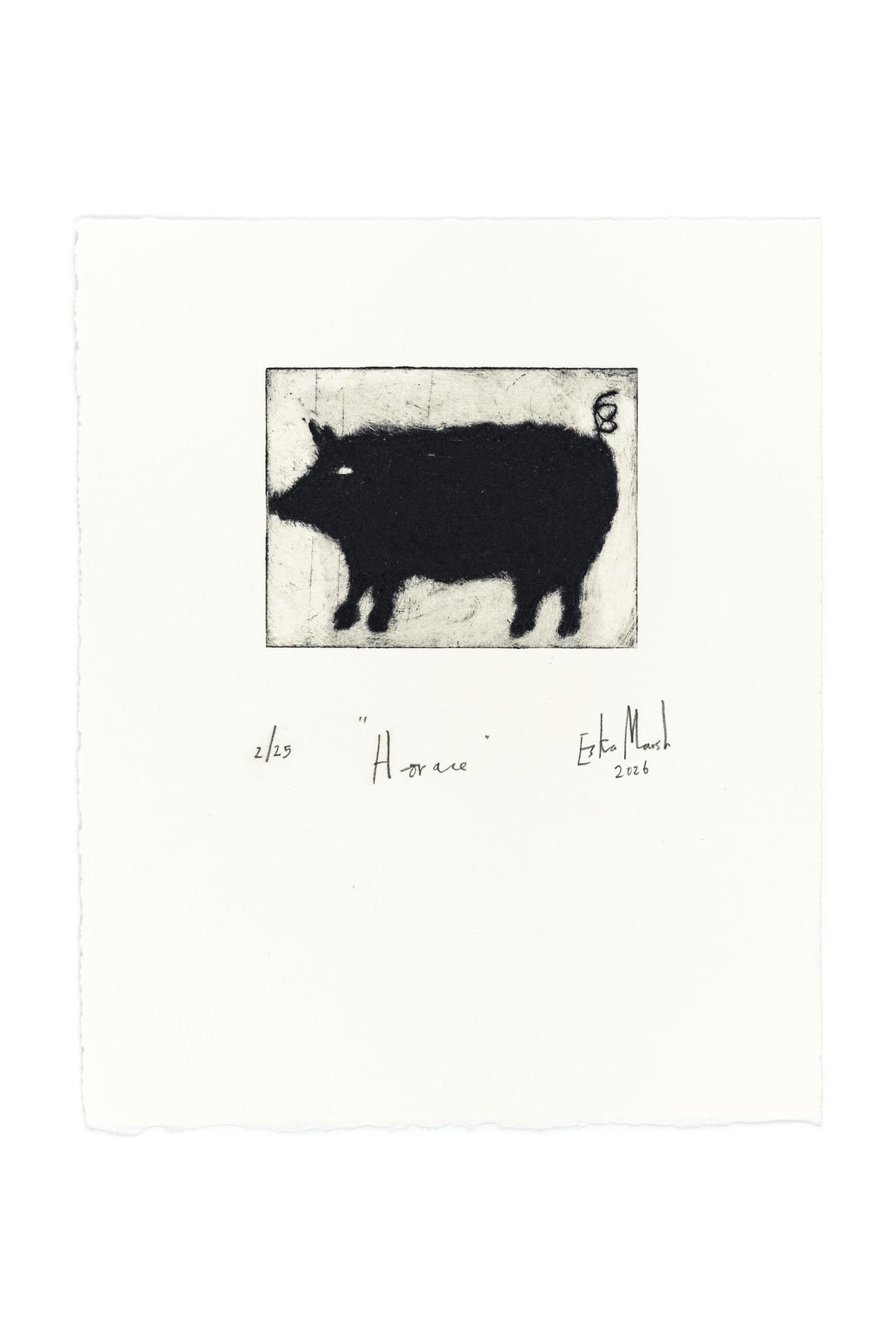 Animal Etching Series by Eska Marsh