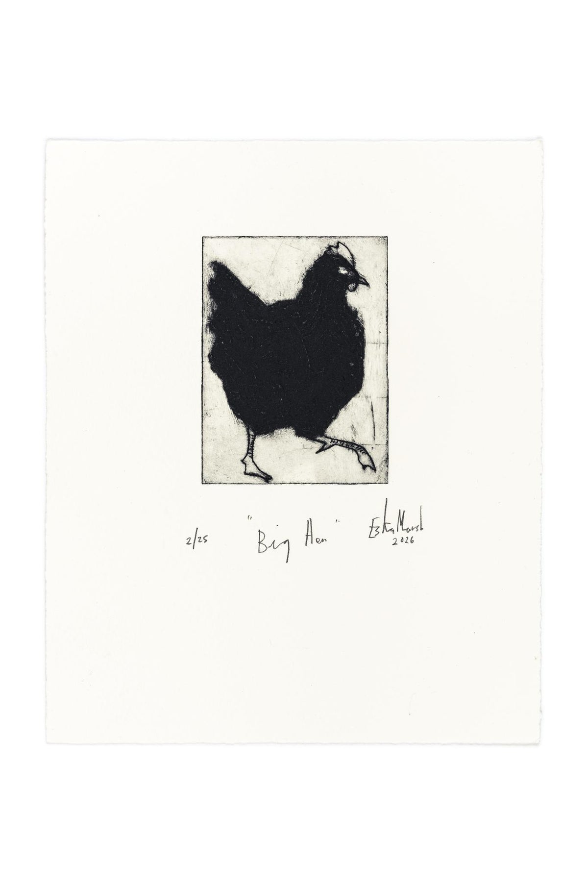 Animal Etching Series by Eska Marsh