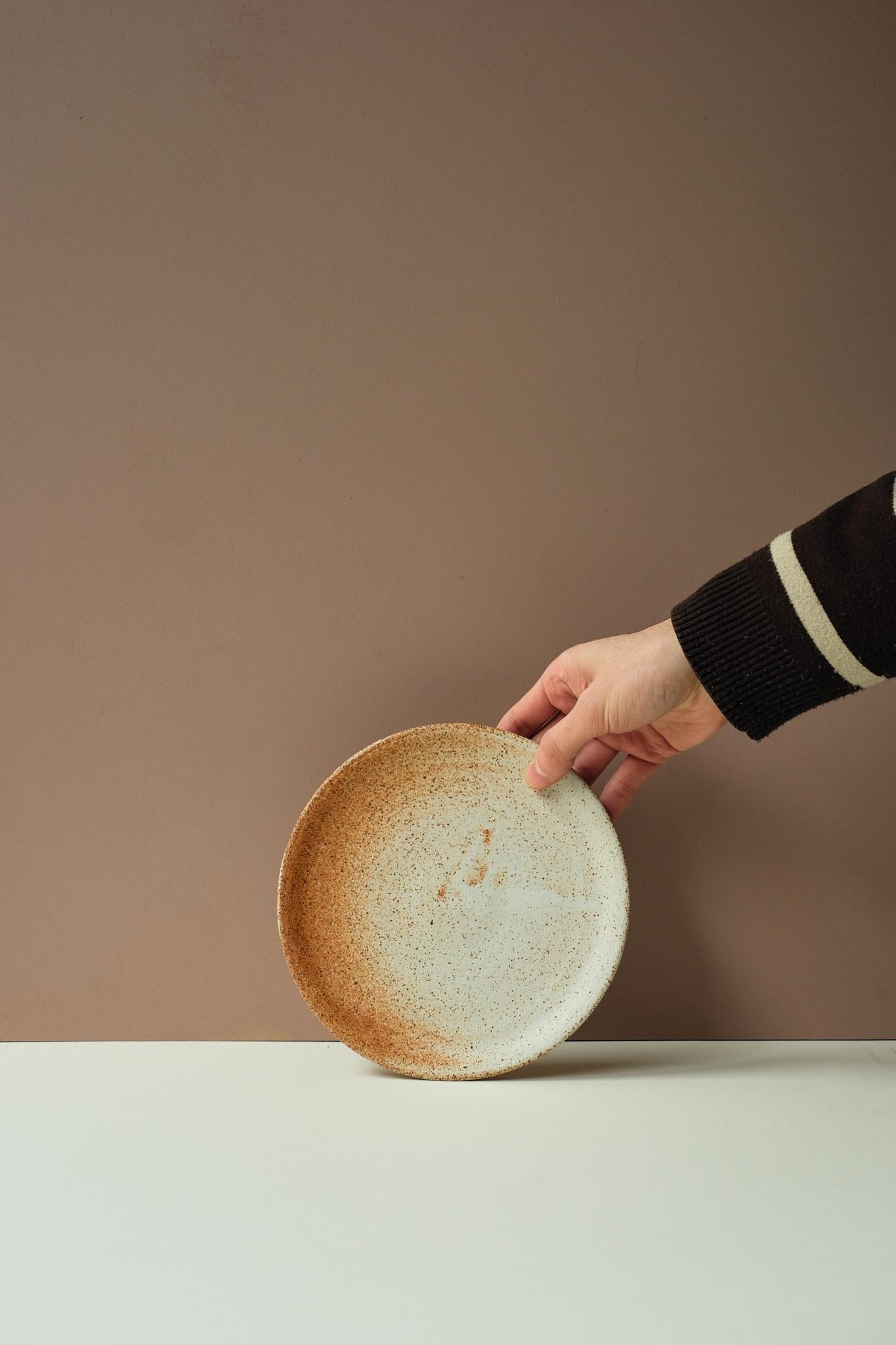 Iron Speckle Plate by Laura Smith