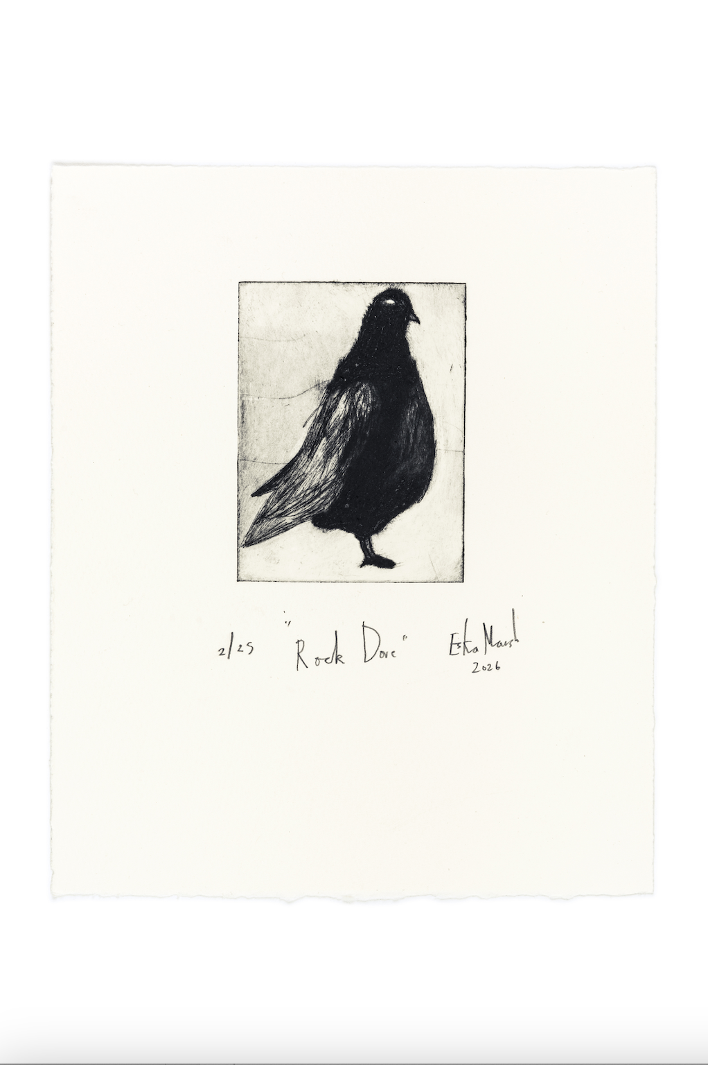 Animal Etching Series by Eska Marsh