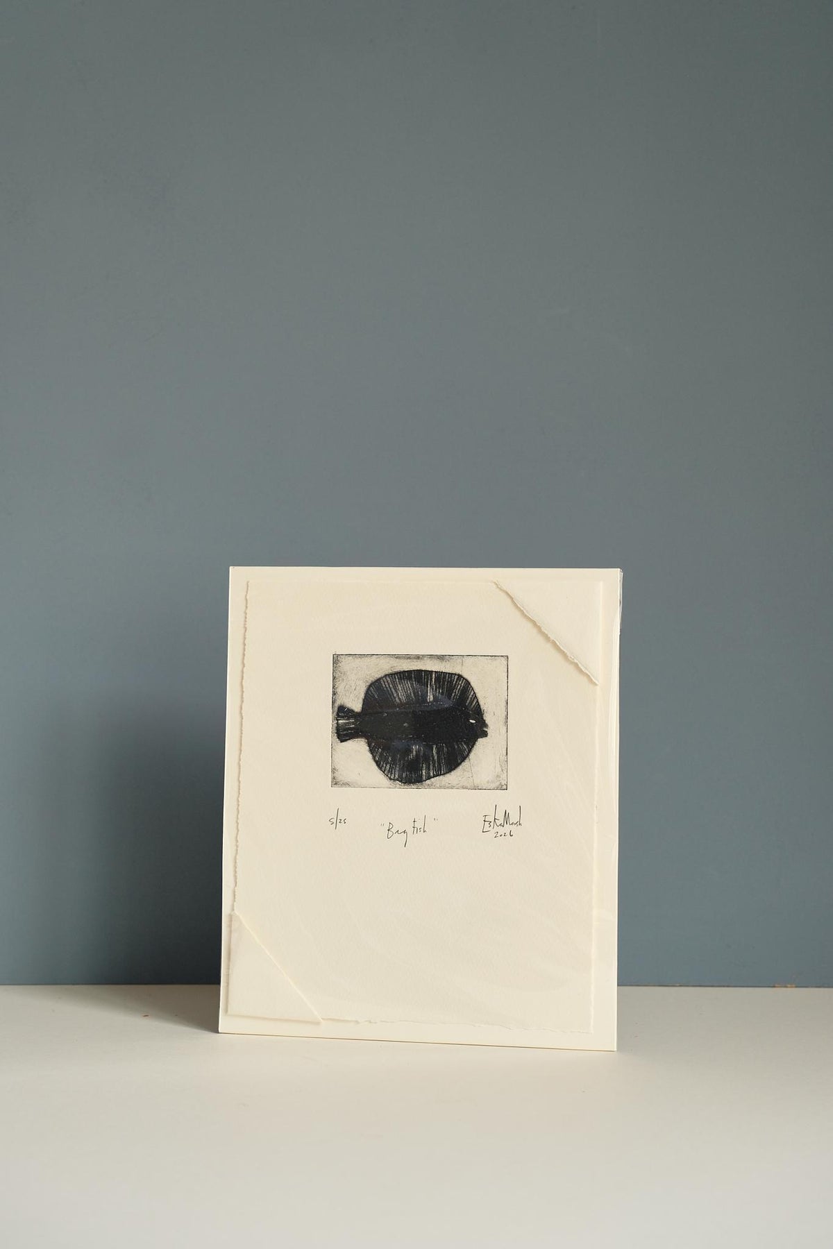 Animal Etching Series by Eska Marsh