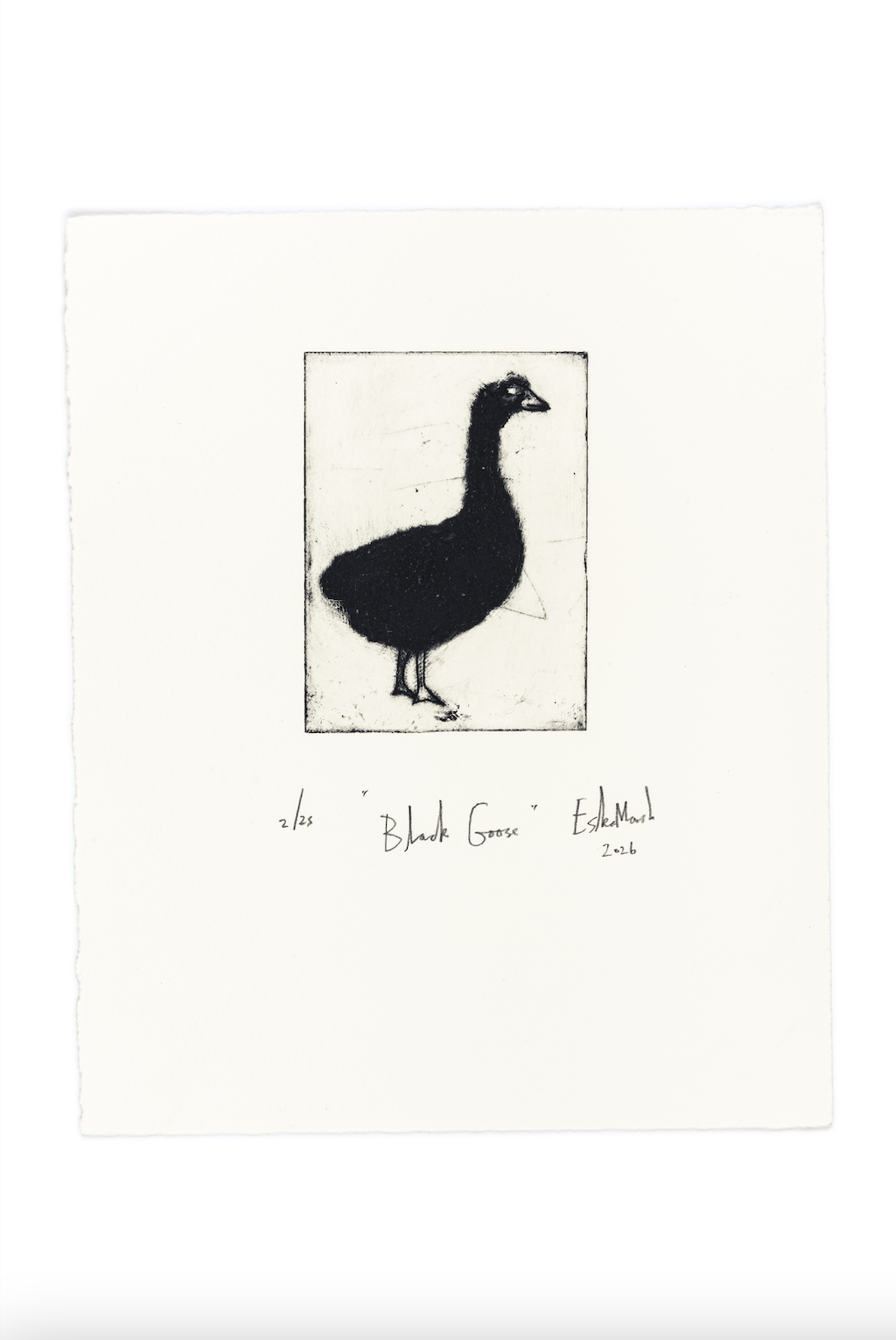 Animal Etching Series by Eska Marsh