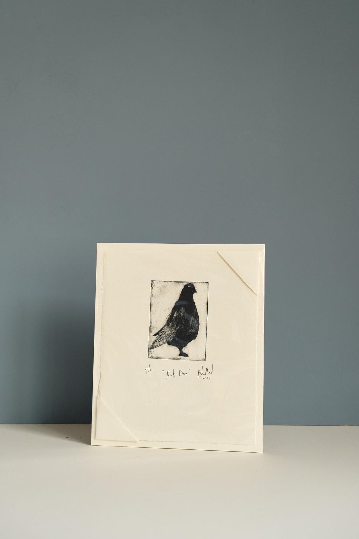 Animal Etching Series by Eska Marsh