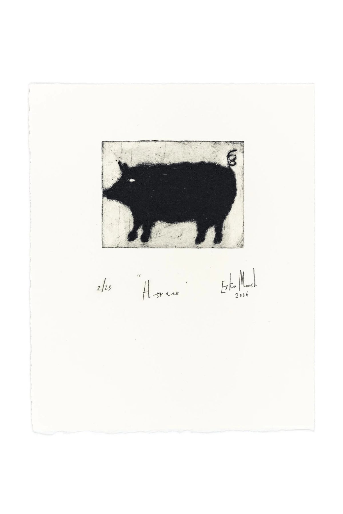 Animal Etching Series by Eska Marsh Unframed