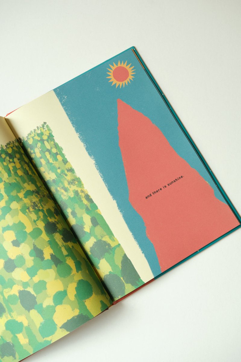 The Mountain - Childrens Book