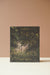 Hackney Marshes Book