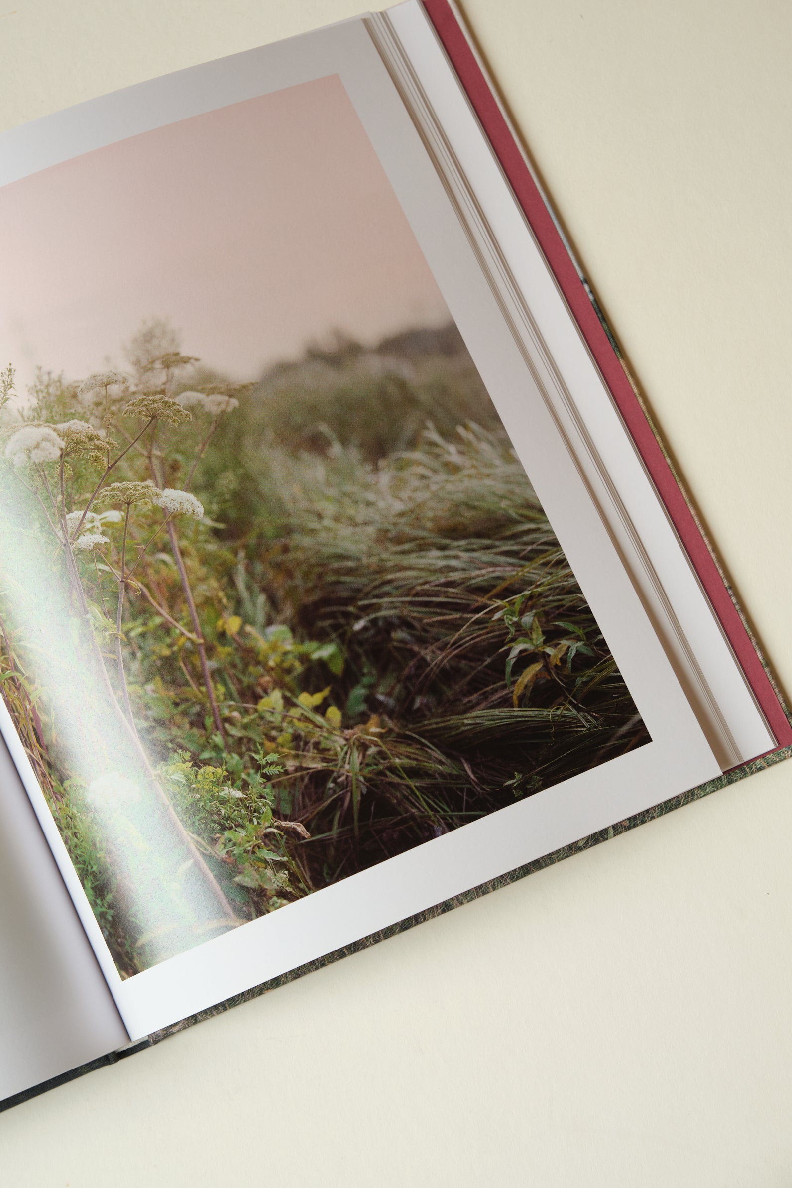 Hackney Marshes Book