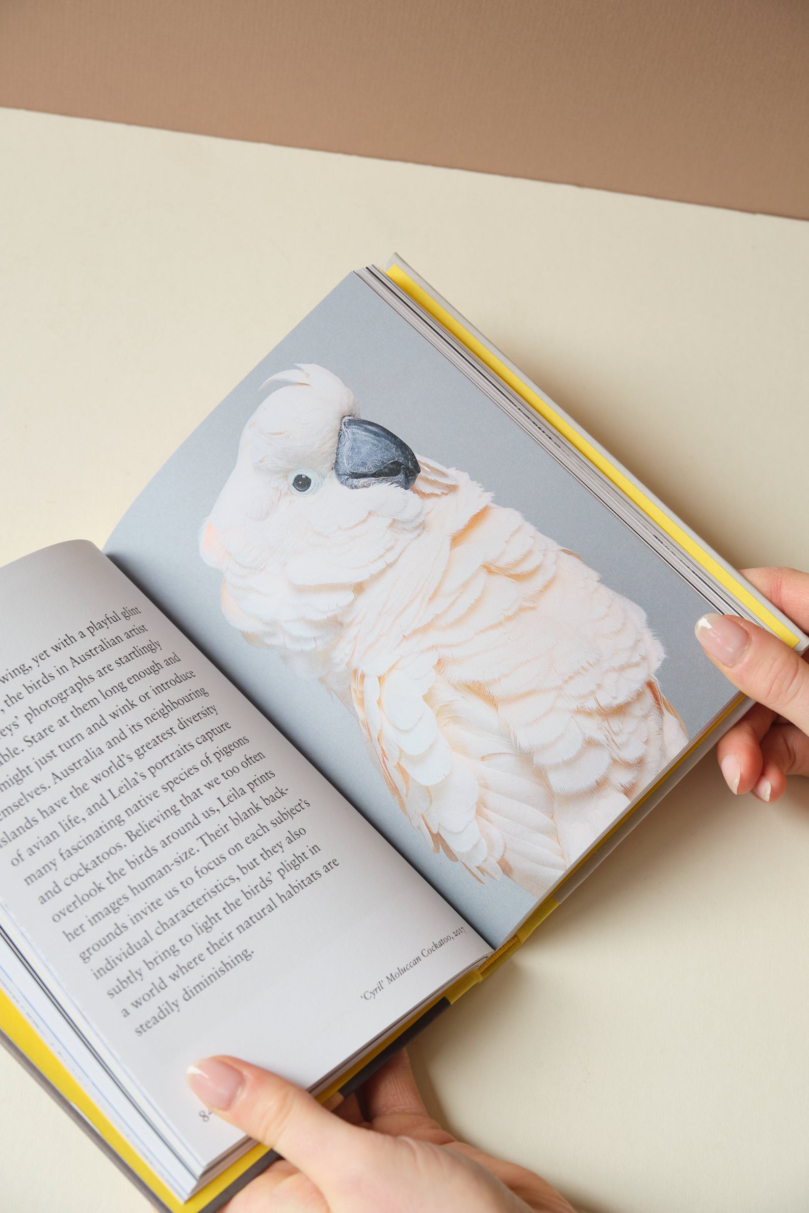Bird. Book