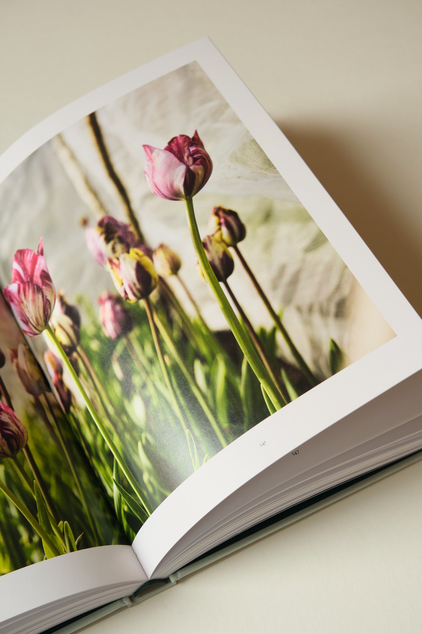 The Tulip Garden Book