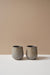 Winter Birch Tumbler