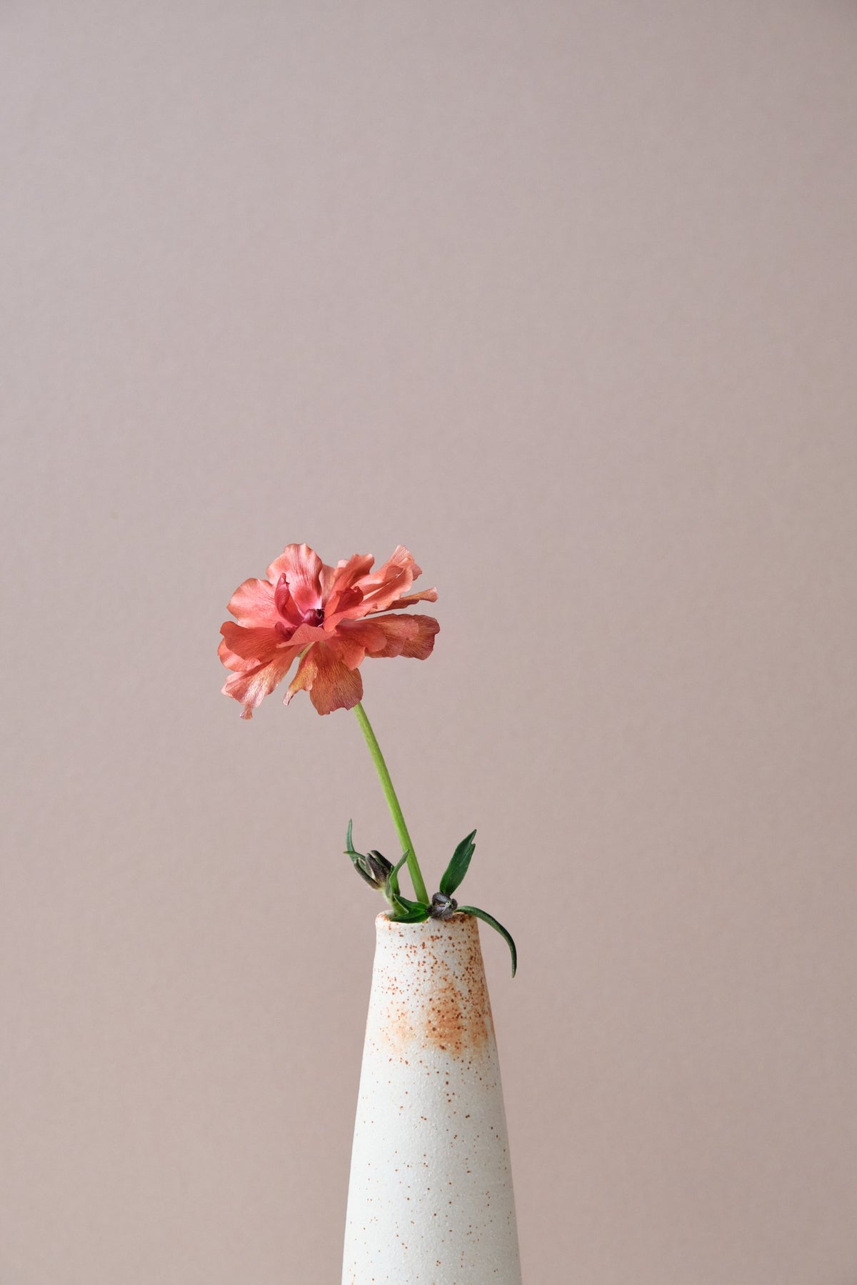 Milk Jug Vase - Verum