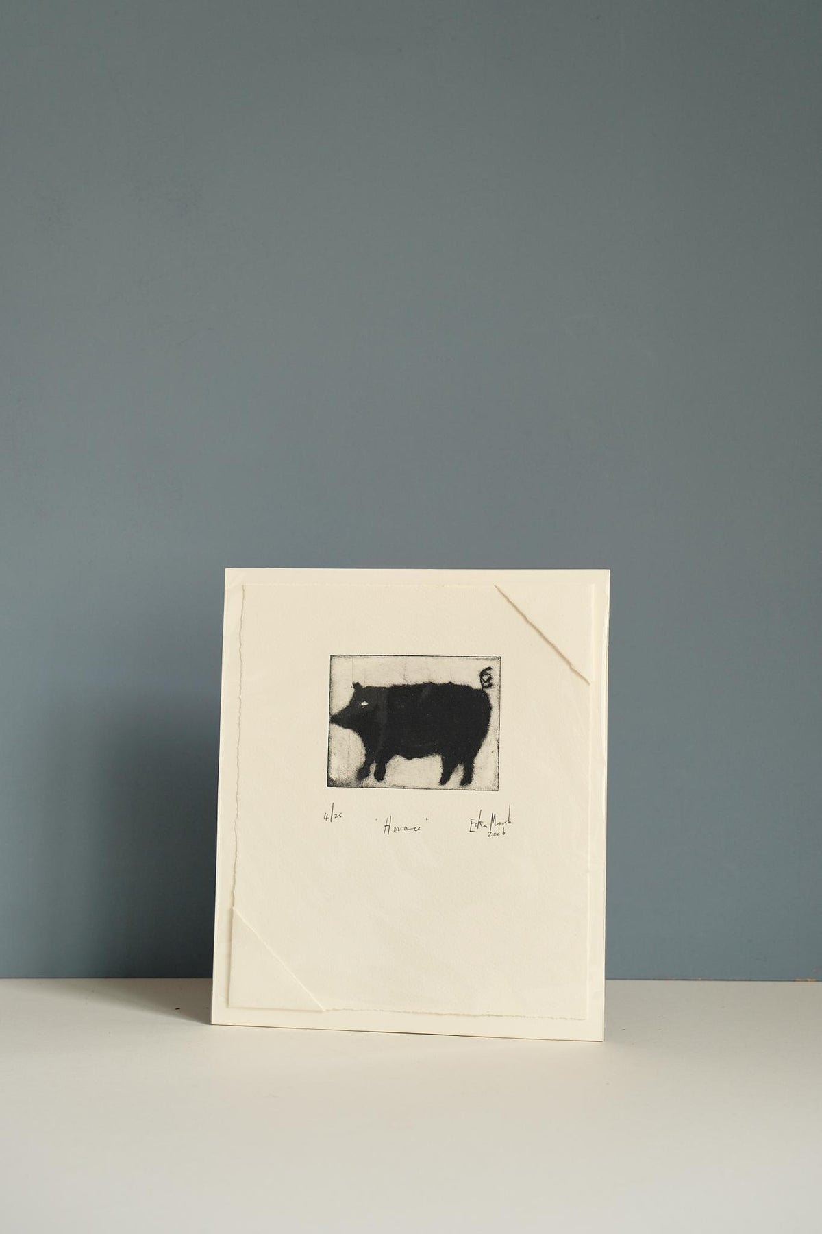 Animal Etching Series by Eska Marsh
