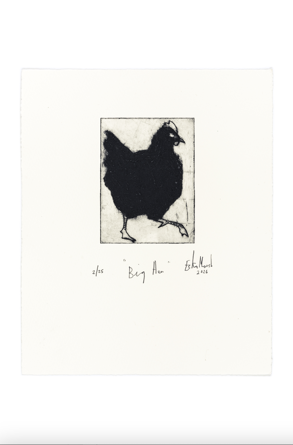 Animal Etching Series by Eska Marsh