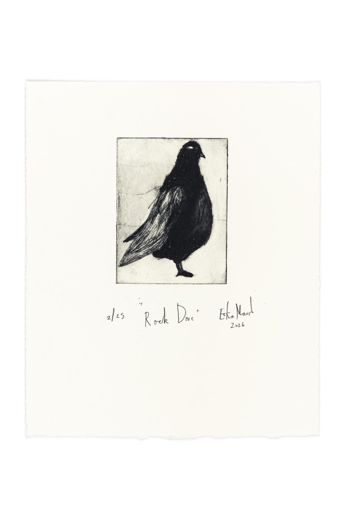 Animal Etching Series by Eska Marsh