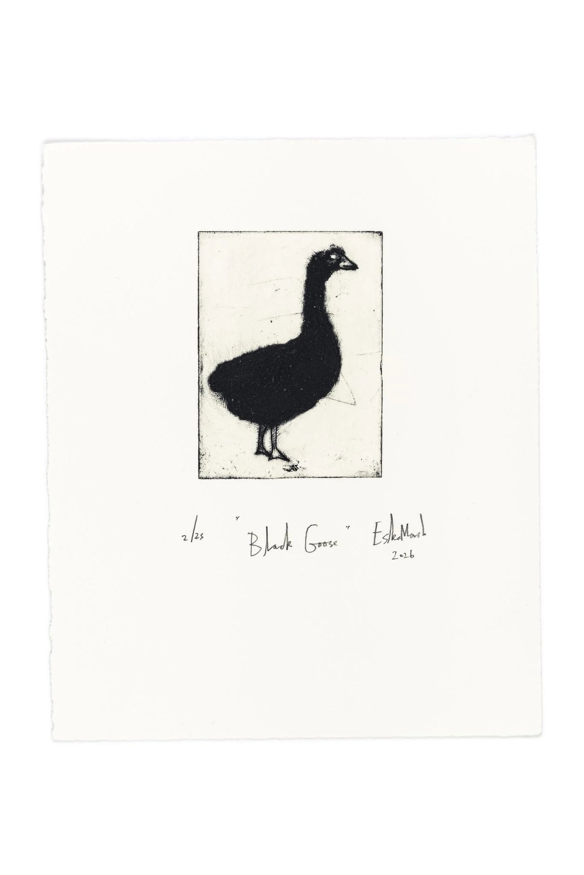 Animal Etching Series by Eska Marsh Unframed