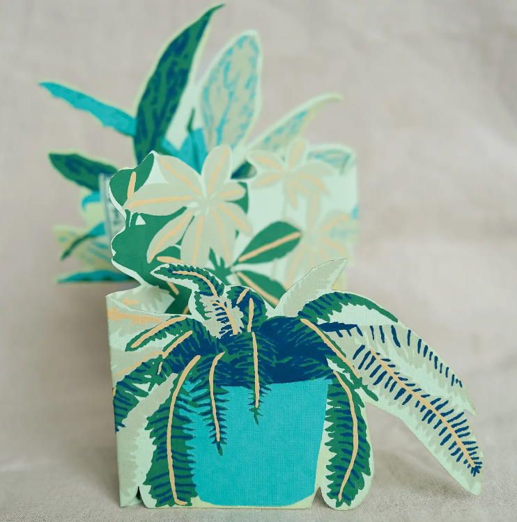 Concertina Plant Pot Card - East End Press